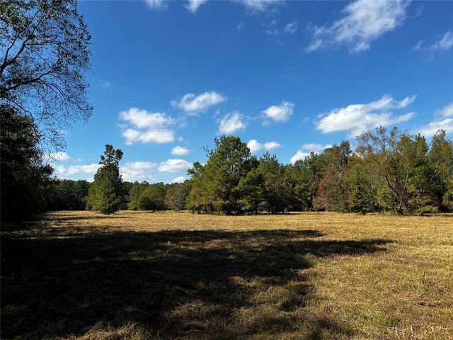 0 County Road 2314, Dayton, TX 77535