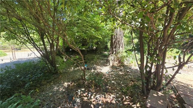 14568 Holmwood Drive, Magalia, CA 95954