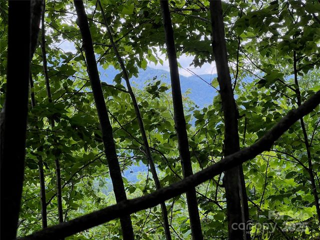 0000 Eagle Roost Road, Maggie Valley, NC 28751