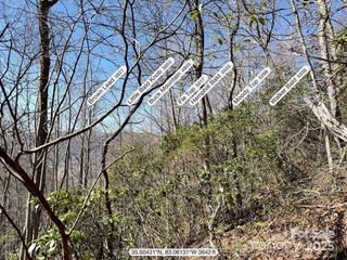 0000 Eagle Roost Road, Maggie Valley, NC 28751