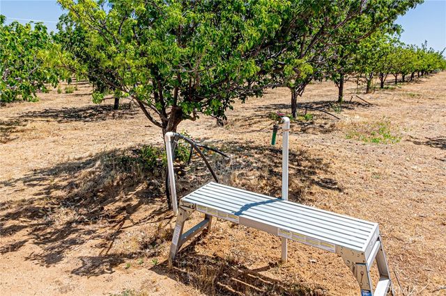11126 E Avenue W8, Pearblossom, CA 93553