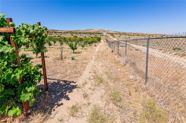 11126 E Avenue W8, Pearblossom, CA 93553