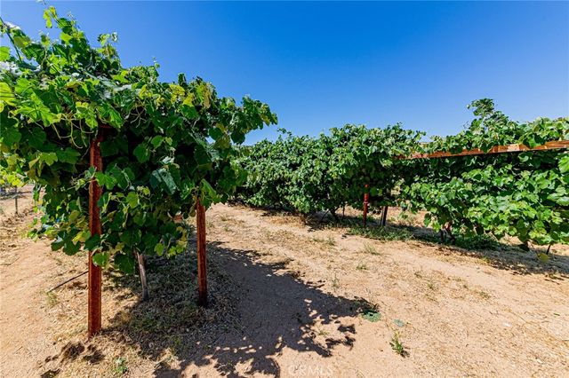 11126 E Avenue W8, Pearblossom, CA 93553