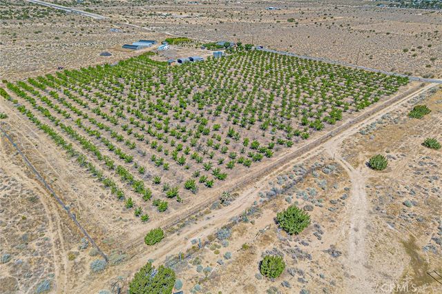11126 E Avenue W8, Pearblossom, CA 93553