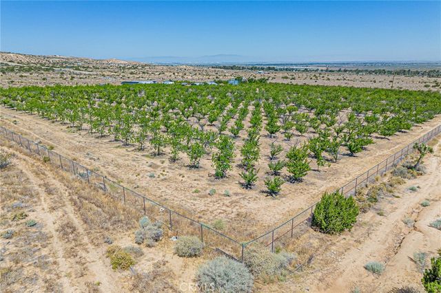 11126 E Avenue W8, Pearblossom, CA 93553