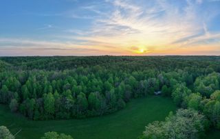 965 Flag Springs Rd, Lynnville, TN 38472