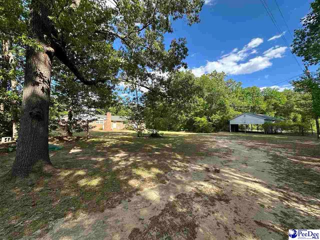 222 Brantley Drive, Hartsville, SC 29550