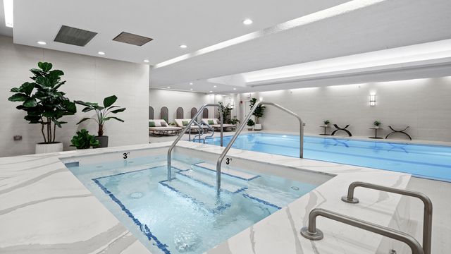 850 N Lake Shore Drive 204, Chicago, IL 60611