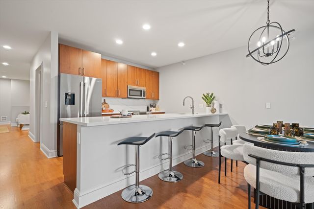 850 N Lake Shore Drive 204, Chicago, IL 60611