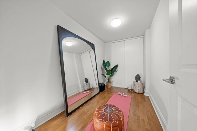 850 N Lake Shore Drive 204, Chicago, IL 60611