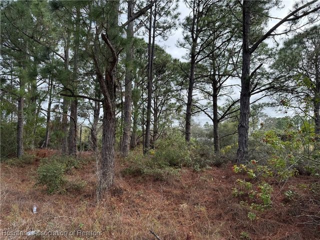 401 Fawnwood Avenue, Lake Placid, FL 33852