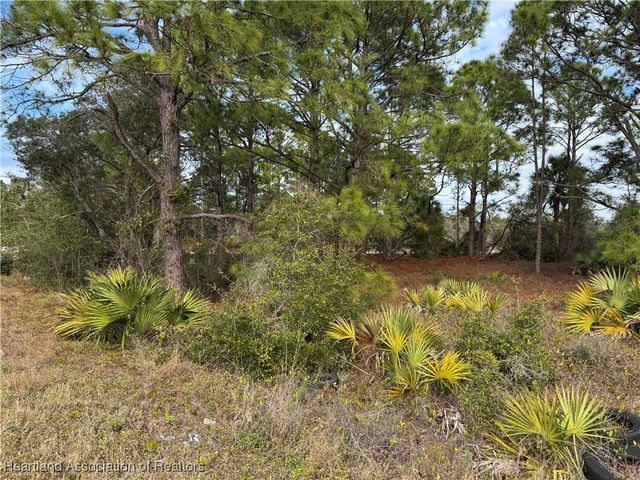 401 Fawnwood Avenue, Lake Placid, FL 33852