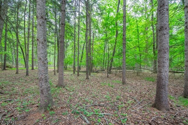 181 Center Grove Rd, Randolph Twp., NJ 07869