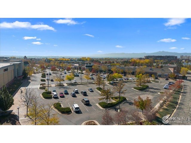 2428 Cottongrass Ave, Loveland, CO 80538