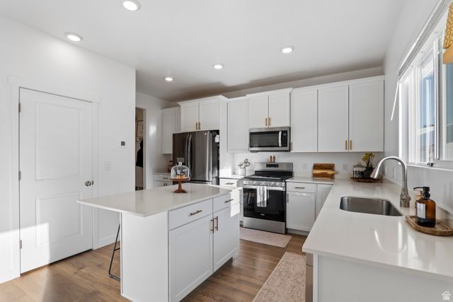 1349 S RAINTREE LN, Santaquin, UT 84655