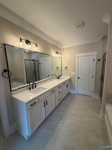 22059 Merlot Drive, Athens, AL 35613