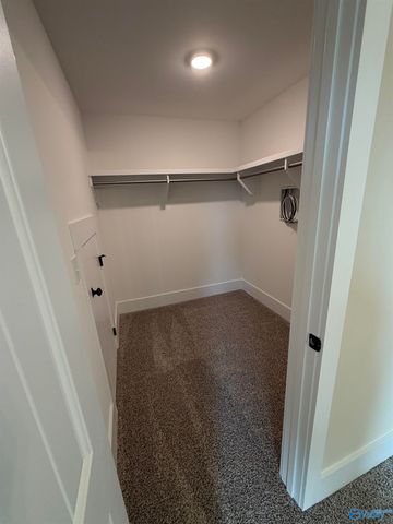 22059 Merlot Drive, Athens, AL 35613