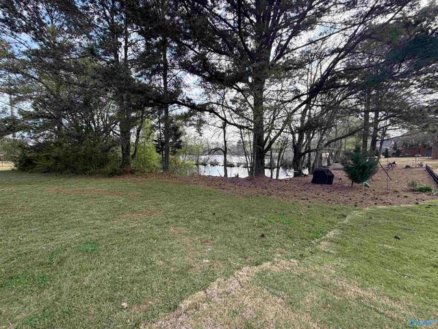 22059 Merlot Drive, Athens, AL 35613