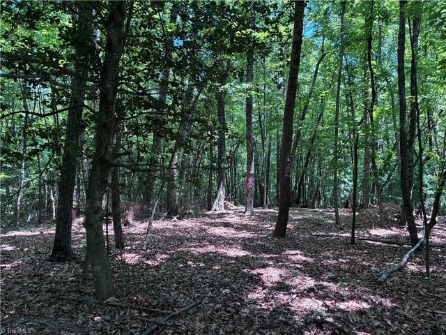 00 Breakaway Drive, Mcgrady, NC 28649