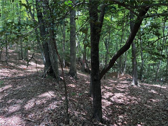 00 Breakaway Drive, Mcgrady, NC 28649