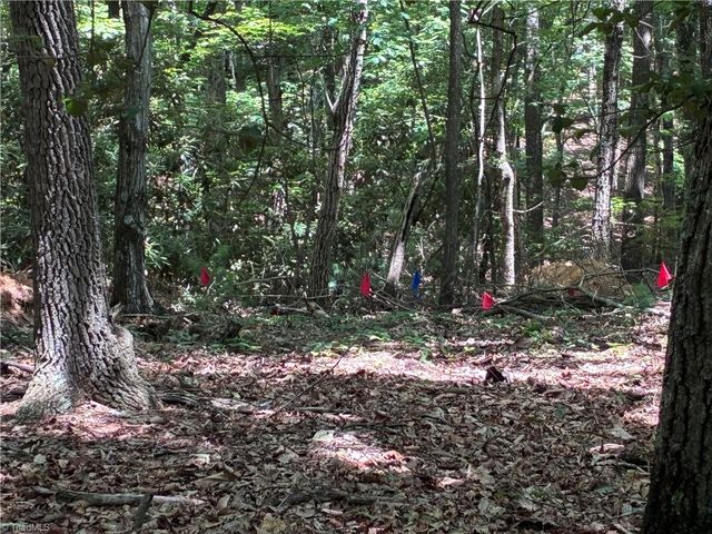 00 Breakaway Drive, Mcgrady, NC 28649