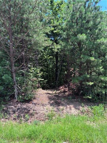 00 Breakaway Drive, Mcgrady, NC 28649