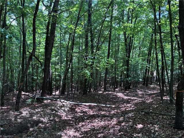 00 Breakaway Drive, Mcgrady, NC 28649