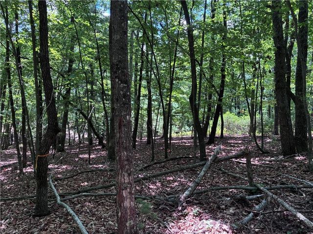00 Breakaway Drive, Mcgrady, NC 28649
