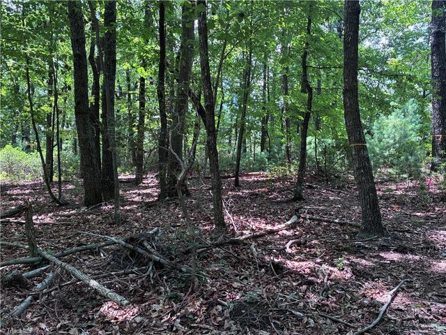 00 Breakaway Drive, Mcgrady, NC 28649