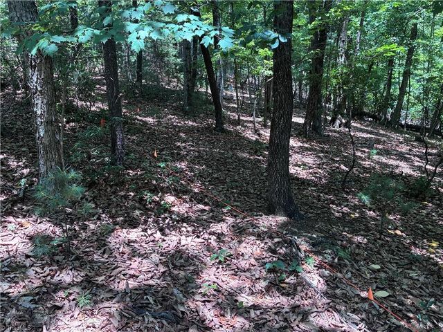 00 Breakaway Drive, Mcgrady, NC 28649