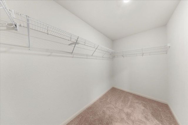 4005 Cressler LN 16G, Jarrell, TX 76537