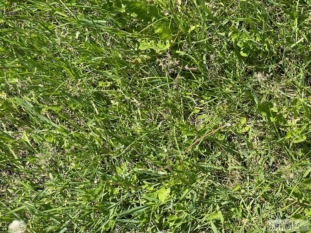 Image 9 of property listing at TBD S 45 W, Idaho Falls, ID 83402