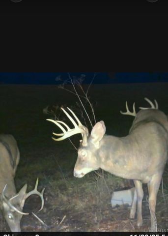 2375 Poplar Ridge Rd, West Union, OH 45693