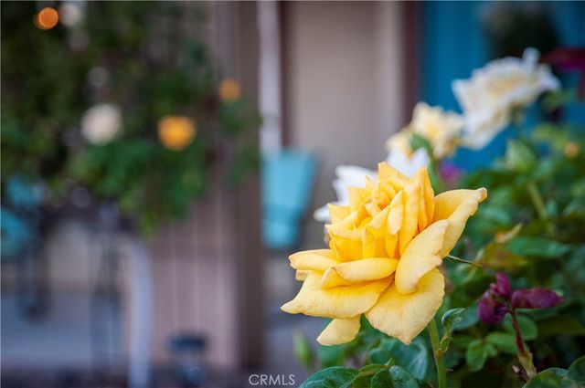 74101 Cactus Wren Court, 29 Palms, CA 92277