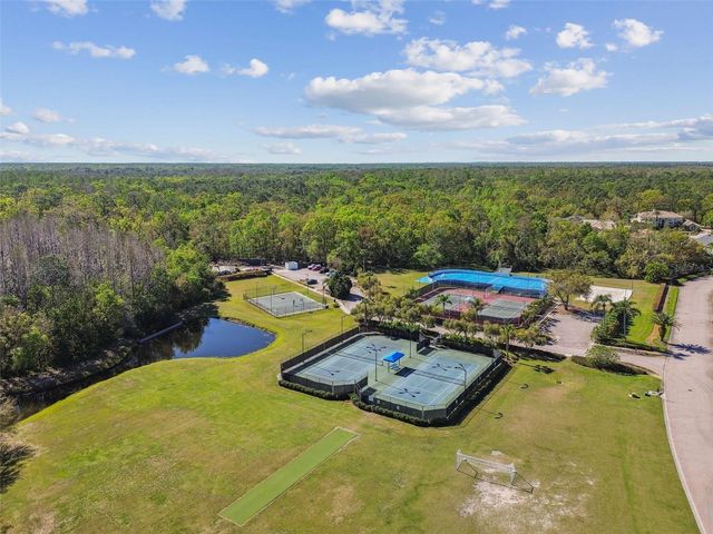 10746 CORY LAKE DRIVE, Tampa, FL 33647