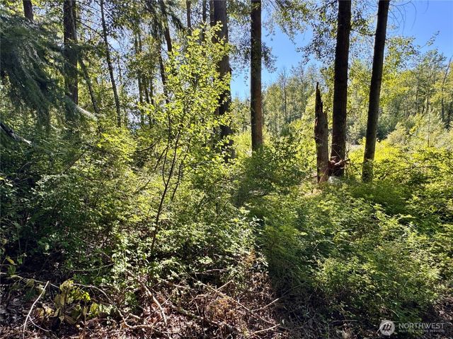 0 Ridgewater Drive, Cle Elum, WA 98922