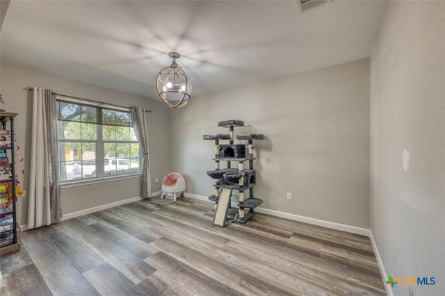 136 Dandelion Loop, Kyle, TX 78640