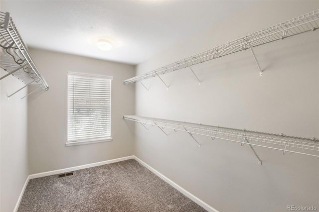 3378 Shoveler Trail, Castle Rock, CO 80104