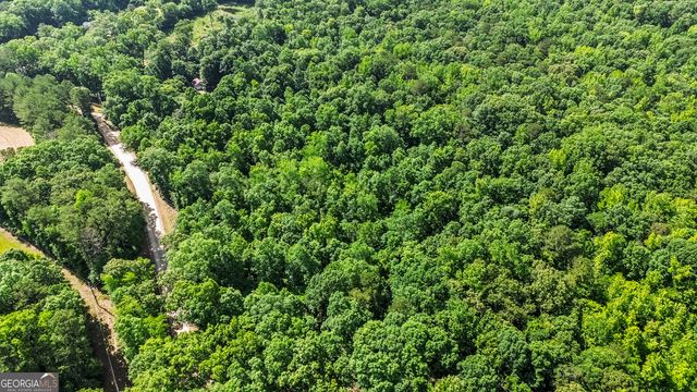 355 Chuli Road, Locust Grove, GA 30248