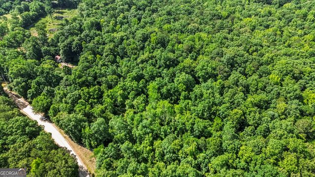 355 Chuli Road, Locust Grove, GA 30248