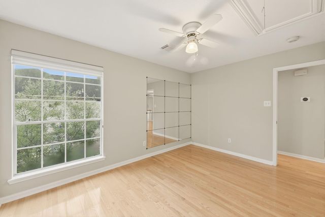 3810 Canary Grass Lane, Houston, TX 77059