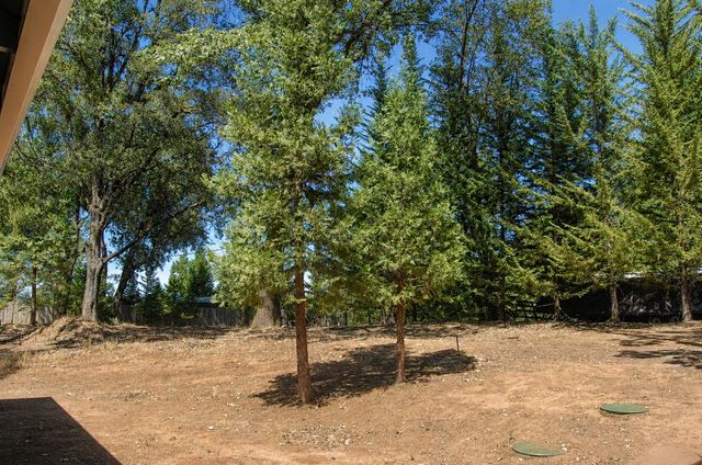 20131 Shake Ridge Rd, Volcano, CA 95689