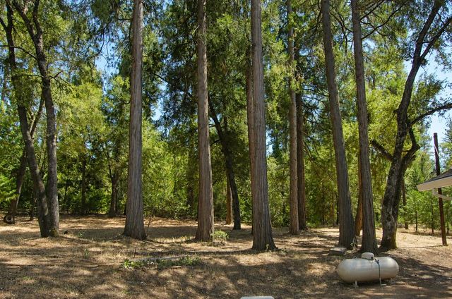 20131 Shake Ridge Rd, Volcano, CA 95689