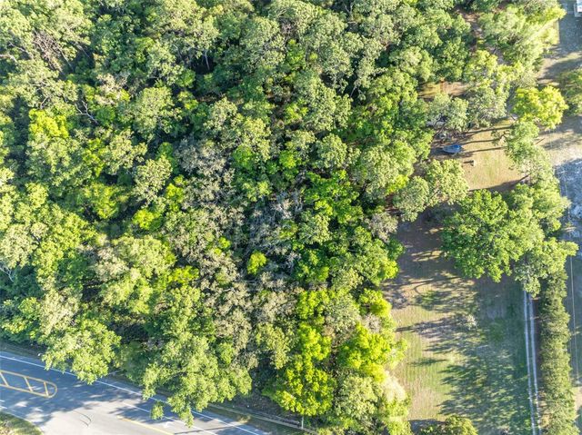 TBD COUNTY ROAD 48, Yalaha, FL 34797