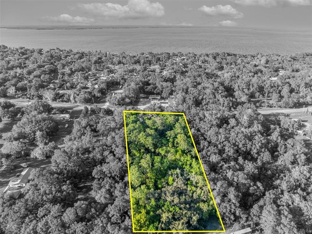 TBD COUNTY ROAD 48, Yalaha, FL 34797