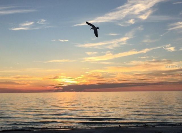 5635 24TH AVENUE N, St Petersburg, FL 33710