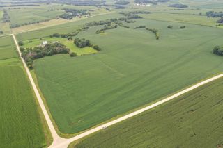 TBD 55th Street NE, Viola Twp, MN 55932