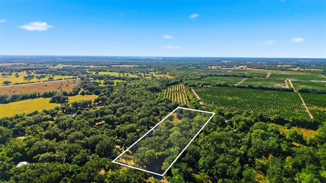 1135 NW PINE CREEK AVENUE, Arcadia, FL 34266