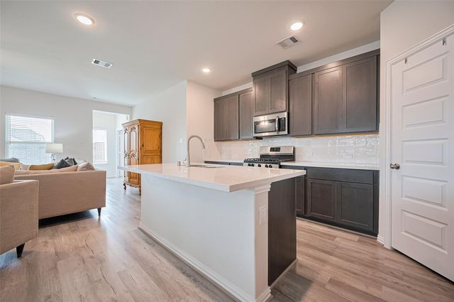 19738 Chianti Point Drive, Hockley, TX 77447