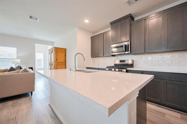 19738 Chianti Point Drive, Hockley, TX 77447